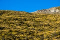 Beautiful landscape of a yellow grassland and forest with trackway on the high mountain at sunset I Royalty Free Stock Photo