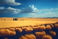 Beautiful landscape with yellow wheat field and blue sky with white clouds Royalty Free Stock Photo