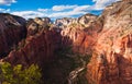 Beautiful Landscape in Zion National Park,Utah Royalty Free Stock Photo