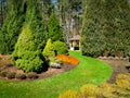 landscaped garden with conifers and bower