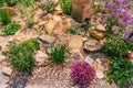 Beautiful landscaped natural garden with plants, succulents, rocks and stones