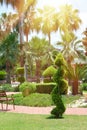 Beautiful landscaped resort park in Turkey. Tropical look. Summer background