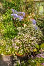 Beautiful landscaped summer garden