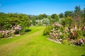 Beautiful landscaped summer garden