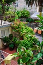 Beautiful landscaped terrace of a house with flowers and plants. Courtyard. Blooming garden.