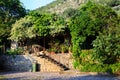 Beautiful landscaped terrace of a house with flowers, ivy and plants. Courtyard. Blooming garden. Royalty Free Stock Photo