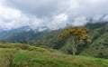 Beautiful landscapes of the department of Quindio Royalty Free Stock Photo