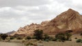 Judean desert. Israel. Royalty Free Stock Photo