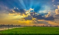 Beautiful landscapes with rice fields and blue sky