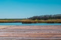 Beautiful landscapes of Russia. Rostov region. Colorful places. Green vegetation and rivers with lakes and swamps. Forests and mea Royalty Free Stock Photo