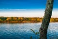 Beautiful landscapes of Russia. Rostov region. Colorful places. Green vegetation and rivers with lakes and swamps. Forests and mea Royalty Free Stock Photo