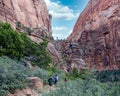 Beautiful landscapes, views of incredibly picturesque rocks, and mountains in Zion National Park, Utah, USA