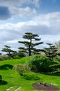 Beautiful landscaping in the Chicago Botanic Gardens Royalty Free Stock Photo