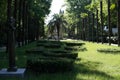 A park with palm trees. Beautiful landscape design.