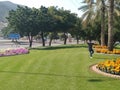 Beautiful landscaping near main road