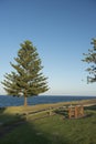 Beautiful lanscape of bermagui in Australia