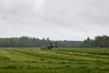 Beautiful lansdscape with haymaking is mowing the grass Royalty Free Stock Photo