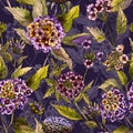 Beautiful lantana flowers with green leaves on purple background. Seamless summer floral pattern. Watercolor painting. Royalty Free Stock Photo