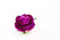 Beautiful large artificial purple rose view side Royalty Free Stock Photo