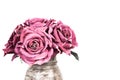 Bouquet of pink roses in vase on white background. Royalty Free Stock Photo