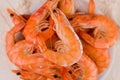 beautiful large boiled tiger prawns on a white plate on the kitchen table Royalty Free Stock Photo