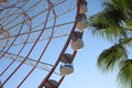 Beautiful large Ferris wheel near palm tree against blue sky, low angle view Royalty Free Stock Photo