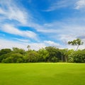 Beautiful large park with green lawn covered with grass