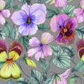 Beautiful large purple and yellow viola flowers with green leaves on gray background. Seamless botanical floral pattern.