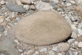 Beautiful large river pebble in the sand