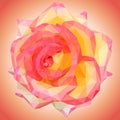 Beautiful large rose flower low poly