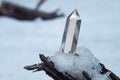 Perfect large shining crystal of transparent quartz in the sunlight on natural snow winter background close-up