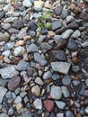beautiful large and small stones, piled up on the side of the road in the village. Royalty Free Stock Photo