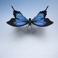 Beautiful large tropical butterfly Morpho didius.3D rendering. Royalty Free Stock Photo