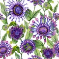 Beautiful large vivid African daisy flowers with green leaves on white background. Seamless bright floral pattern.