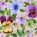 Beautiful large vivid viola flowers with green leaves on beige background. Seamless spring or summer floral pattern. Royalty Free Stock Photo