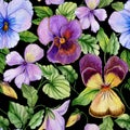 Beautiful large vivid viola flowers with green leaves on black background. Seamless spring or summer floral pattern. Royalty Free Stock Photo