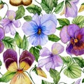 Beautiful large vivid viola flowers with green leaves on white background. Seamless spring or summer floral pattern.