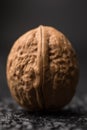 A beautiful large walnut in a shell on a black background. Macro. Fresh Harvest. Royalty Free Stock Photo