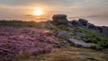Beautiful late Summer sunrise in Peak District over fields of heather in full bloom around Higger Tor and Burbage Edge Royalty Free Stock Photo