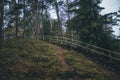 Beautiful Latvian forest in October. Royalty Free Stock Photo