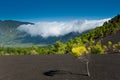 Beautiful lava landscape in La Palma
