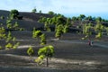 Beautiful lava landscape in La Palma