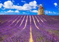 Beautiful lavander fields with a windmill. Provance, France Royalty Free Stock Photo