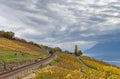 Lavaux region on autumn 3 Royalty Free Stock Photo