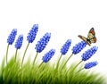 Beautiful lavender background with a butterfly.