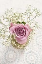 Beautiful lavender color rose with gypsophilla -top view Royalty Free Stock Photo
