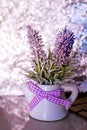 Beautiful lavender in a decorative porcelain pot. Provence, rustic style.