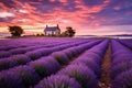 Beautiful lavender field purple blue sky farm.illustration. Ai generative