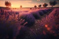 Beautiful lavender field at sunset. AI generative Royalty Free Stock Photo