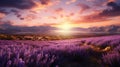 Beautiful lavender flower blooming field at sunset. Golden hour. AI Generated Royalty Free Stock Photo